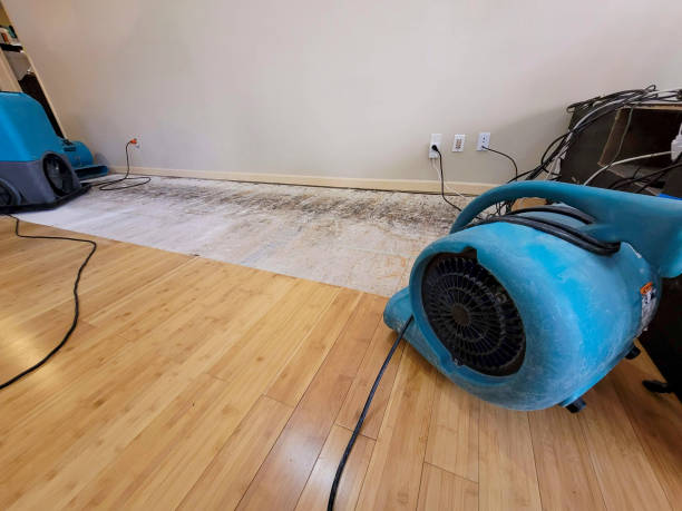 Professional Sewage Cleanup technician working in Hollins, AL